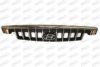 PRASCO HN9222010 Radiator Grille